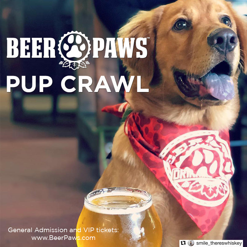Beer Paws to Host Dog-Friendly Pup Crawl in Kansas City