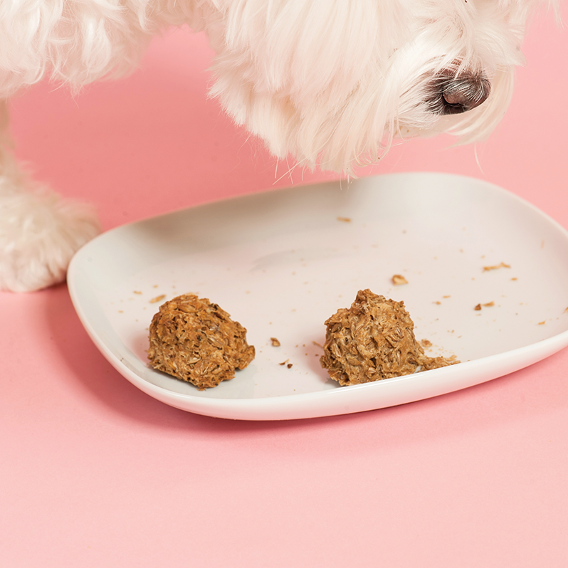 What Are Spent Grain Dog Biscuits?