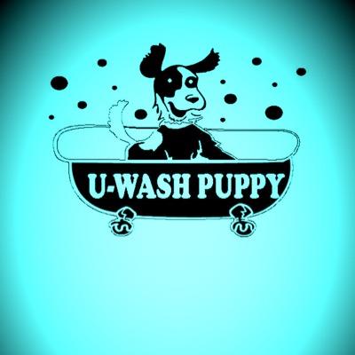 Partner Spotlight: U-Wash Puppy!