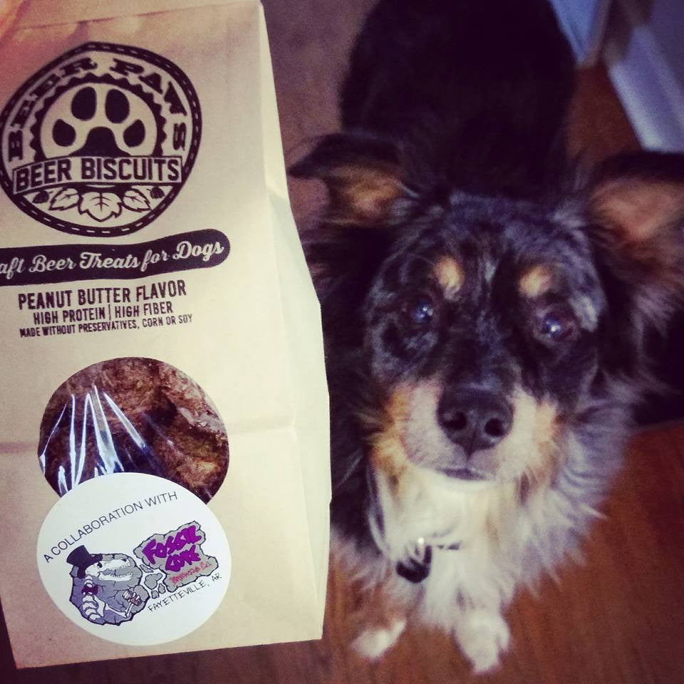 Fossil Cove dog treats and Australian shepherd