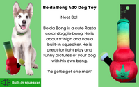 Thumbnail for Bo da Bong 420 Dog Toy