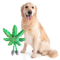Thumbnail for Mary Jane the Marijuana Leaf 420 Dog Toy