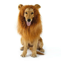Thumbnail for Lion Theme Dog Wig