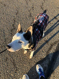 Thumbnail for Adjustable Fleece Coats for Dogs and Cats with Drinking Buddy Embroidery