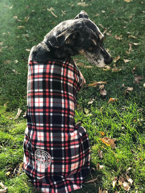 Adjustable Fleece Coats for Dogs and Cats with Drinking Buddy Embroidery