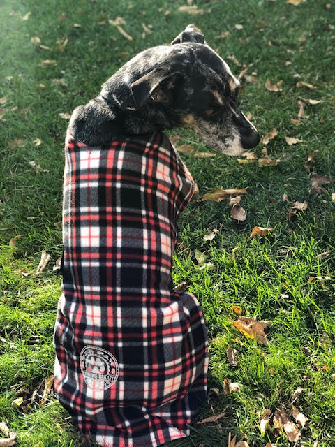 Adjustable Fleece Coats for Dogs and Cats with Drinking Buddy Embroidery