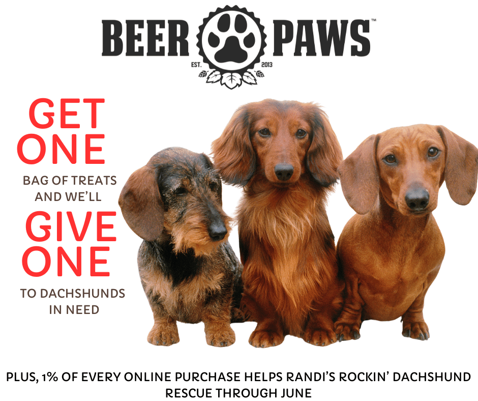 Double Up for Dachshunds on Dog Party Day! Beer Paws