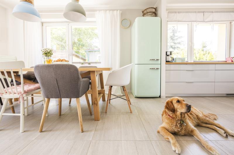 Dog-Friendly Flooring Options Every Dog Owner Should Know About