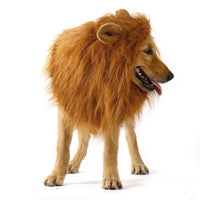 Thumbnail for Lion Theme Dog Wig