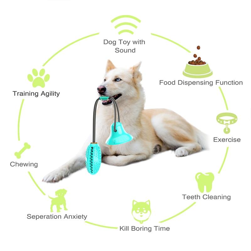 https://www.beerpaws.com/cdn/shop/products/Dog-Toys-Silicon-Suction-Cup-for-Pet-Dogs-Tug-Interactive-Ball-Toys-For-Pet-Chew-Bite_8d245ea8-cc7c-488f-bd01-9d557c9984d6_1280x.jpg?v=1641253745