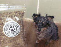 Thumbnail for The Shake Food Topper for Dogs