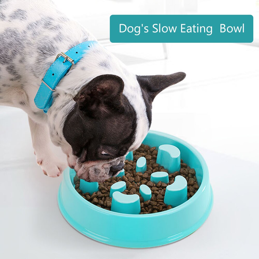 Slow Feeding Bowl for Dogs – Beer Paws