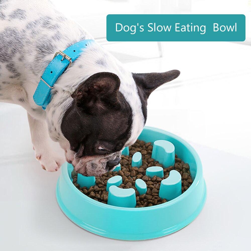 Slow Feeding Bowl for Dogs