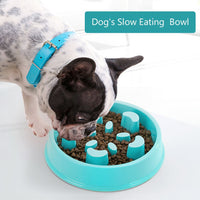 Thumbnail for Slow Feeding Bowl for Dogs