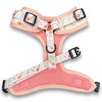 Thumbnail for Rosé All Day Dog Harness and Leash Set